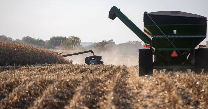 近一周穀物期貨有漲有跌，其中玉米期市疲軟，因受小麥市場走低拖累。（圖／報系資料照）